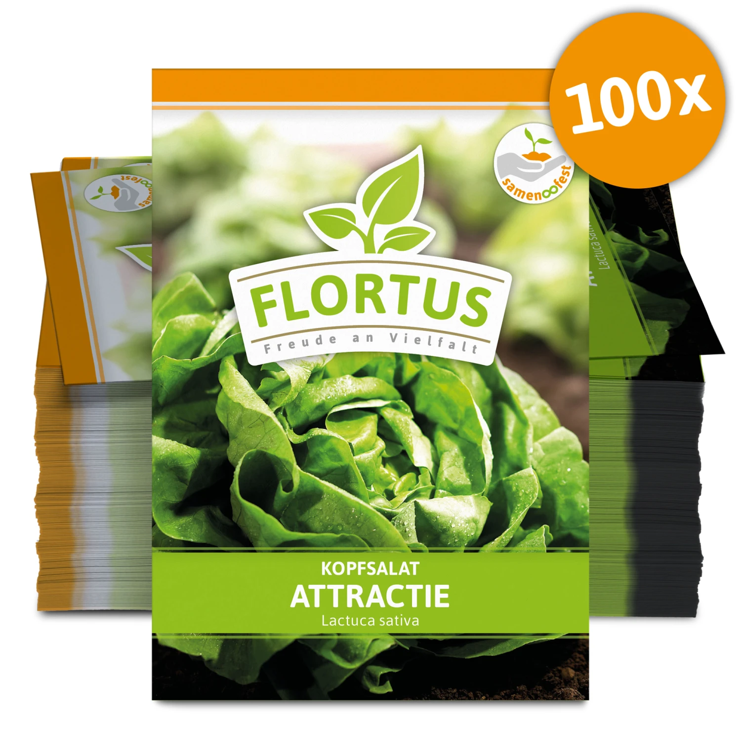 Kopfsalat Attractie (100 Stück) | Kopfsalatsamen Von FLORTUS 5 Kopfsalat Attractie (100 Stück) | Kopfsalatsamen Von FLORTUS – Bild 3