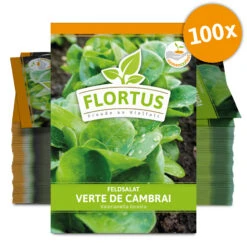 Feldsalat Verte De Cambrai (100 Stück) | Feldsalatsamen Von FLORTUS