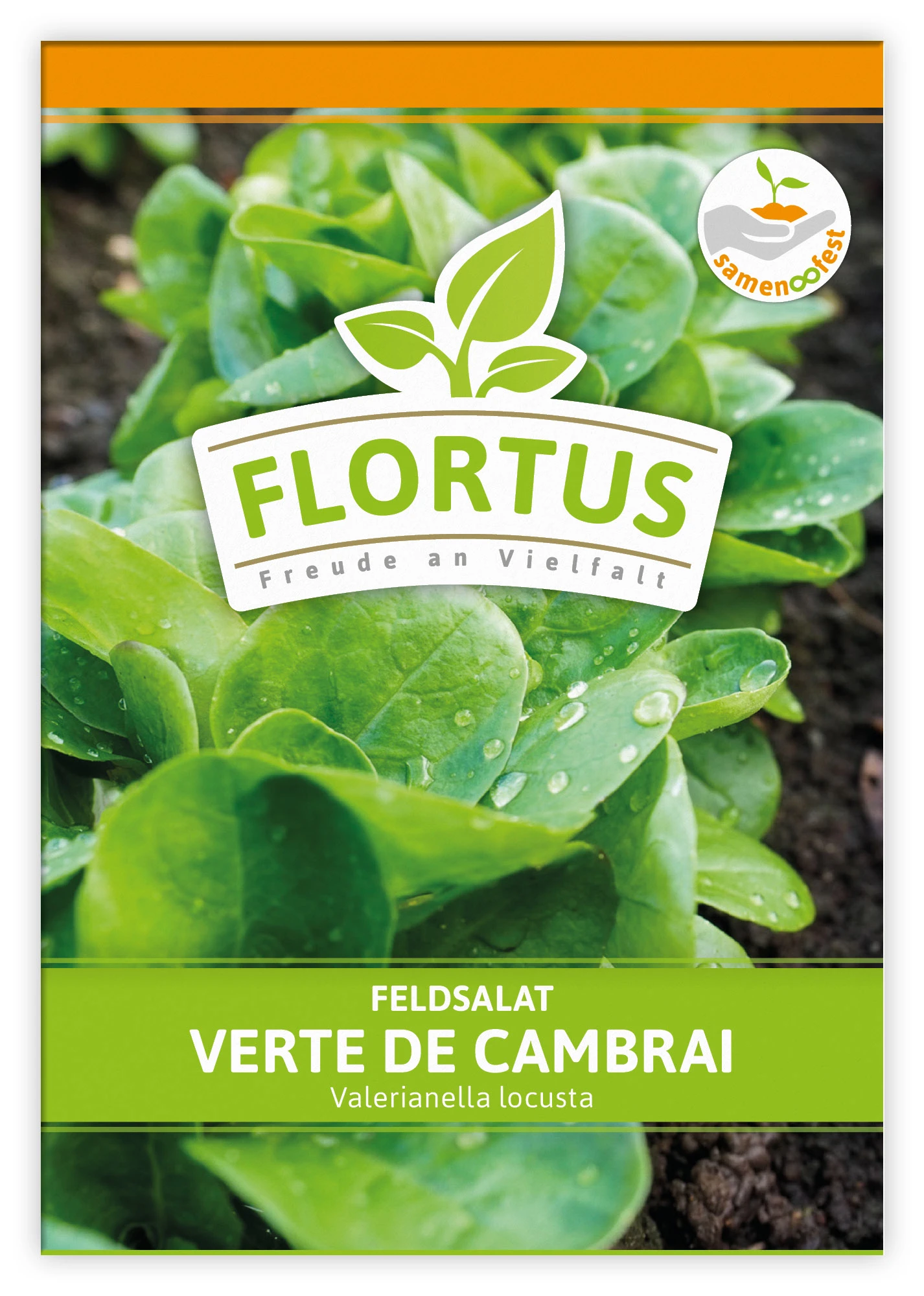 Feldsalat Verte De Cambrai (100 Stück) | Feldsalatsamen Von FLORTUS 4 Feldsalat Verte De Cambrai (100 Stück) | Feldsalatsamen Von FLORTUS – Bild 2