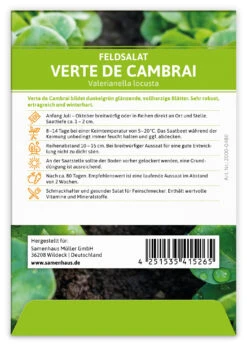 Feldsalat Verte De Cambrai (100 Stück) | Feldsalatsamen Von FLORTUS 7 Feldsalat Verte De Cambrai (100 Stück) | Feldsalatsamen Von FLORTUS -Pegasus Verkaufsgeschäft 549863 Feldsalat Verte de Cambrai 100 Stueck 2000 0480 100x 2