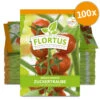Kirschtomate Zuckertraube (100 Stück) | Kirschtomatensamen Von FLORTUS 1 Kirschtomate Zuckertraube (100 Stück) | Kirschtomatensamen Von FLORTUS -Pegasus Verkaufsgeschäft 549864 Kirschtomate Zuckertraube 100 Stueck 2000 0481 100x 0