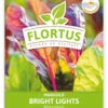 Mangold Bright Lights (100 Stück) | Mangoldsamen Von FLORTUS -Pegasus Verkaufsgeschäft 549865 Mangold Bright Lights 100 Stueck 2000 0482 100x 1