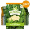 Blumenkohl Erfurter Zwerg (100 Stück) | Blumenkohlsamen Von FLORTUS -Pegasus Verkaufsgeschäft 549866 Blumenkohl Erfurter Zwerg 100 Stueck 2000 0483 100x 0