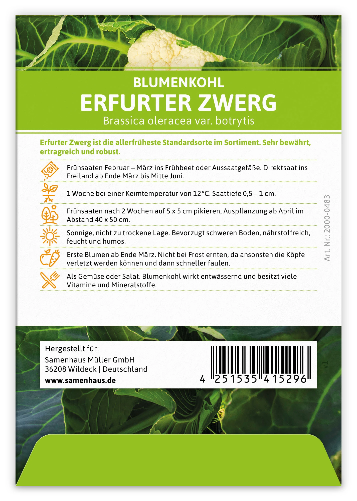 Blumenkohl Erfurter Zwerg (100 Stück) | Blumenkohlsamen Von FLORTUS 4 Blumenkohl Erfurter Zwerg (100 Stück) | Blumenkohlsamen Von FLORTUS – Bild 2
