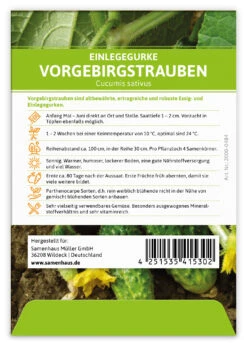 Einlegegurke Vorgebirgstrauben (100 Stück) | Einlegegurkensamen Von FLORTUS -Pegasus Verkaufsgeschäft 549867 Einlegegurke Vorgebirgstrauben 100 Stueck 2000 0484 100x 2