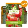 Tomate Moneymaker (100 Stück) | Tomatensamen Von FLORTUS -Pegasus Verkaufsgeschäft 549868 Tomate Moneymaker 100 Stueck 2000 0485 100x 0