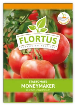 Tomate Moneymaker (100 Stück) | Tomatensamen Von FLORTUS -Pegasus Verkaufsgeschäft 549868 Tomate Moneymaker 100 Stueck 2000 0485 100x 1