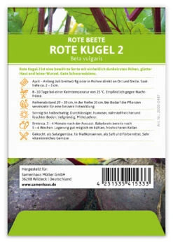 Rote Beete Rote Kugel 2 (100 Stück) | Rote Beetesamen Von FLORTUS 7 Rote Beete Rote Kugel 2 (100 Stück) | Rote Beetesamen Von FLORTUS -Pegasus Verkaufsgeschäft 549870 Rote Beete Rote Kugel 2 100 Stueck 2000 0487 100x 2