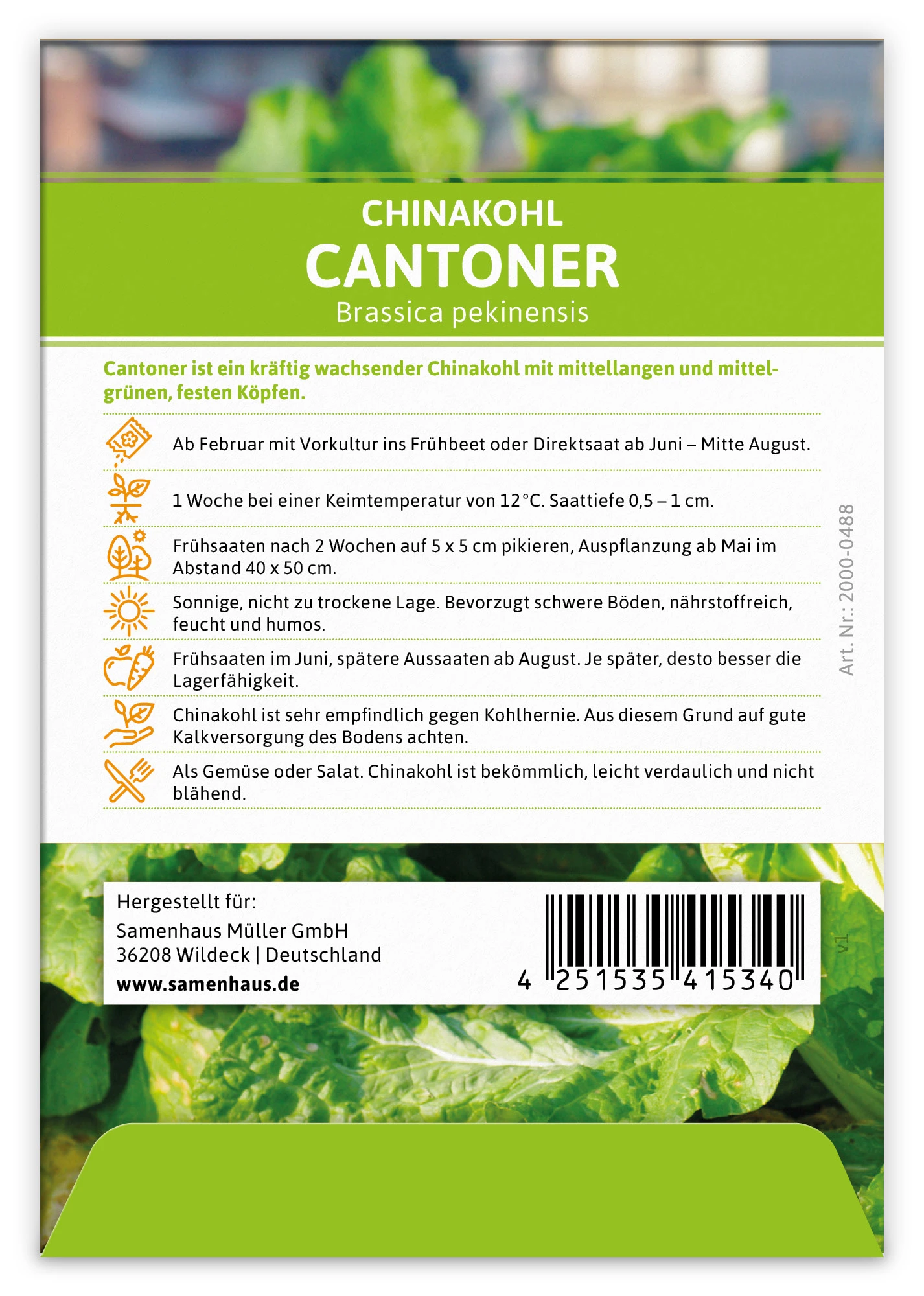 Chinakohl Cantoner (100 Stück) | Chinakohlsamen Von FLORTUS 3 Chinakohl Cantoner (100 Stück) | Chinakohlsamen Von FLORTUS