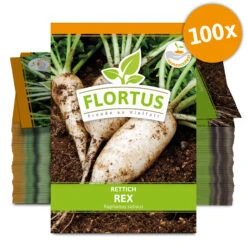 Rettich Rex (100 Stück) | Rettichsamen Von FLORTUS -Pegasus Verkaufsgeschäft 549872 Rettich Rex 100 Stueck 2000 0489 100x 0