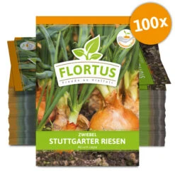 Zwiebel Stuttgarter Riesen (100 Stück) | Zwiebelsamen Von FLORTUS -Pegasus Verkaufsgeschäft 549873 Zwiebel Stuttgarter Riesen 100 Stueck 2000 0490 100x 0