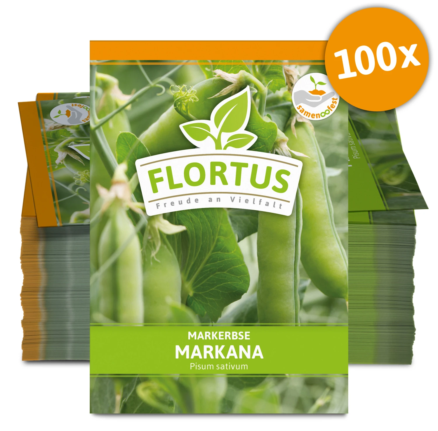 Markerbse Markana (100 Stück) | Markerbsensamen Von FLORTUS 5 Markerbse Markana (100 Stück) | Markerbsensamen Von FLORTUS – Bild 3