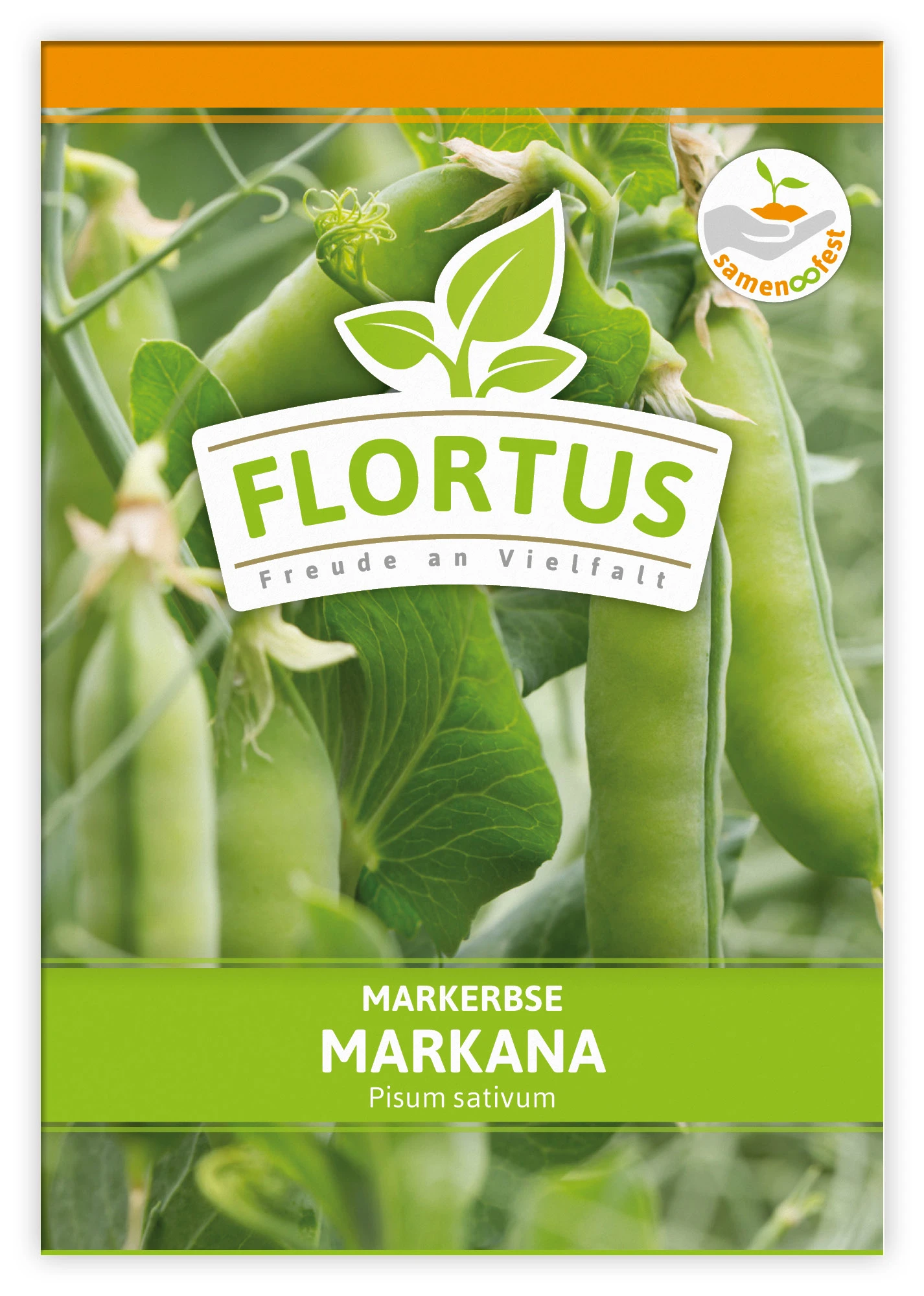 Markerbse Markana (100 Stück) | Markerbsensamen Von FLORTUS 4 Markerbse Markana (100 Stück) | Markerbsensamen Von FLORTUS – Bild 2