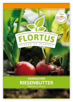 Radieschen Riesenbutter (100 Stück) | Radieschensamen Von FLORTUS -Pegasus Verkaufsgeschäft 549876 Radieschen Riesenbutter 100 Stueck 2000 0493 100x 1