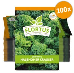 Grünkohl Halbhoher Krauser (100 Stück) | Grünkohlsamen Von FLORTUS 7 Grünkohl Halbhoher Krauser (100 Stück) | Grünkohlsamen Von FLORTUS -Pegasus Verkaufsgeschäft 549878 Gruenkohl Halbhoher Krauser 100 Stueck 2000 0495 100x 0