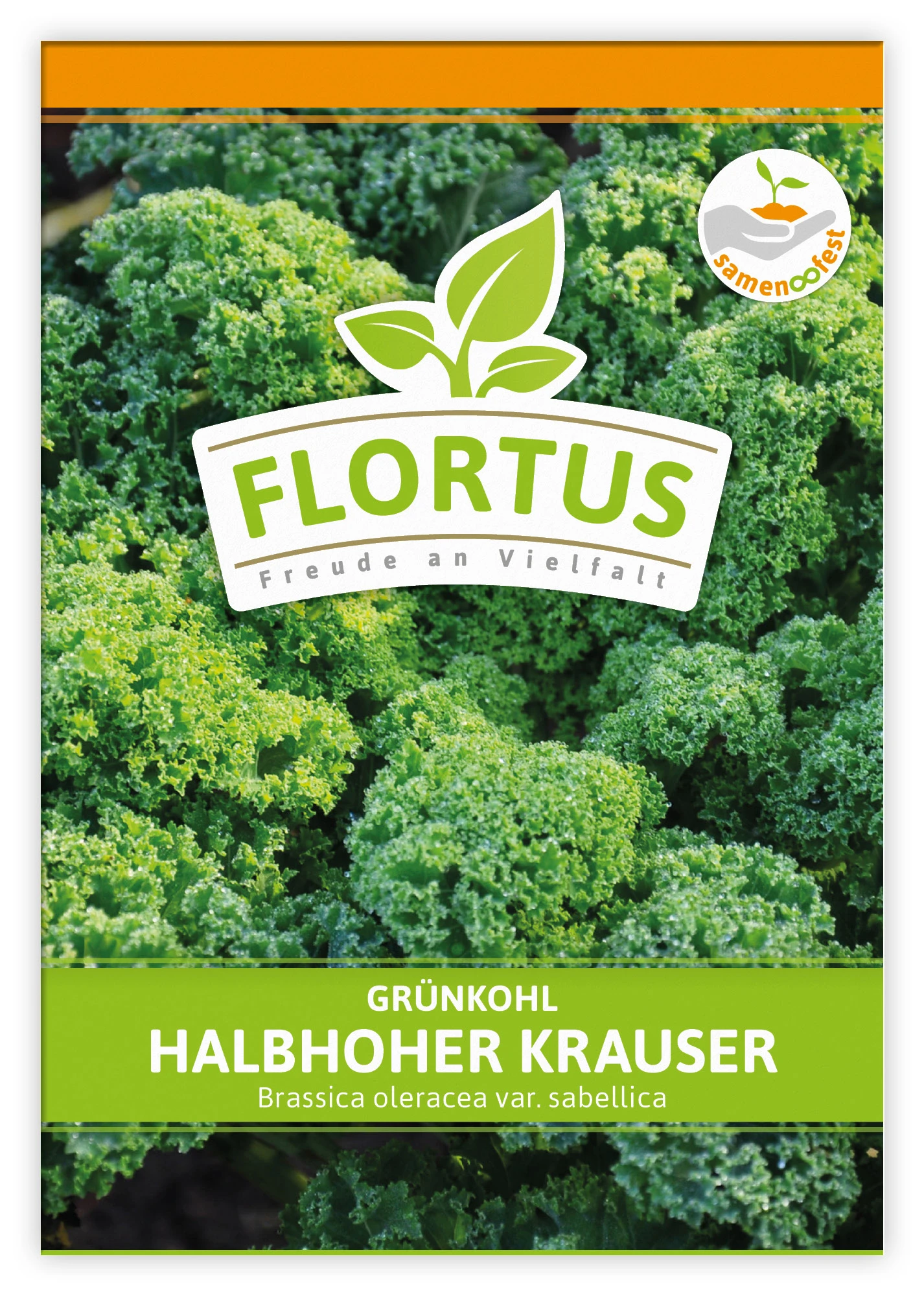 Grünkohl Halbhoher Krauser (100 Stück) | Grünkohlsamen Von FLORTUS 4 Grünkohl Halbhoher Krauser (100 Stück) | Grünkohlsamen Von FLORTUS – Bild 2