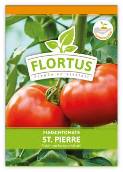 Fleischtomate St. Pierre (100 Stück) | Fleischtomatensamen Von FLORTUS 7 Fleischtomate St. Pierre (100 Stück) | Fleischtomatensamen Von FLORTUS -Pegasus Verkaufsgeschäft 549879 Fleischtomate St Pierre 100 Stueck 2000 0496 100x 1