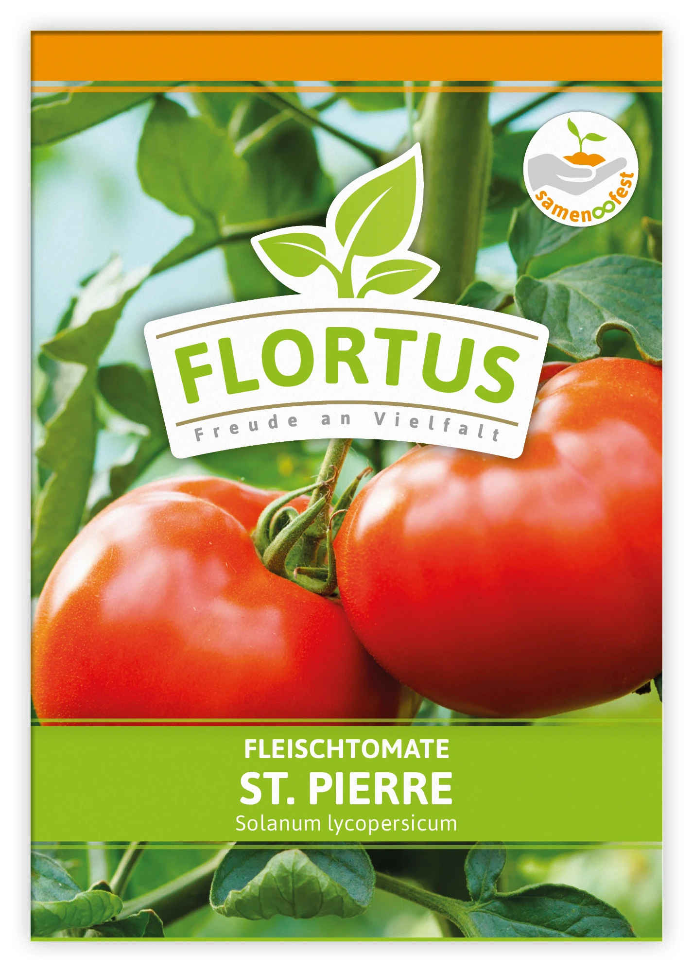 Fleischtomate St. Pierre (100 Stück) | Fleischtomatensamen Von FLORTUS 5 Fleischtomate St. Pierre (100 Stück) | Fleischtomatensamen Von FLORTUS – Bild 3