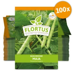 Buschbohne Maja (100 Stück) | Buschbohnensamen Von FLORTUS -Pegasus Verkaufsgeschäft 549880 Buschbohne Maja 100 Stueck 2000 0497 100x 0