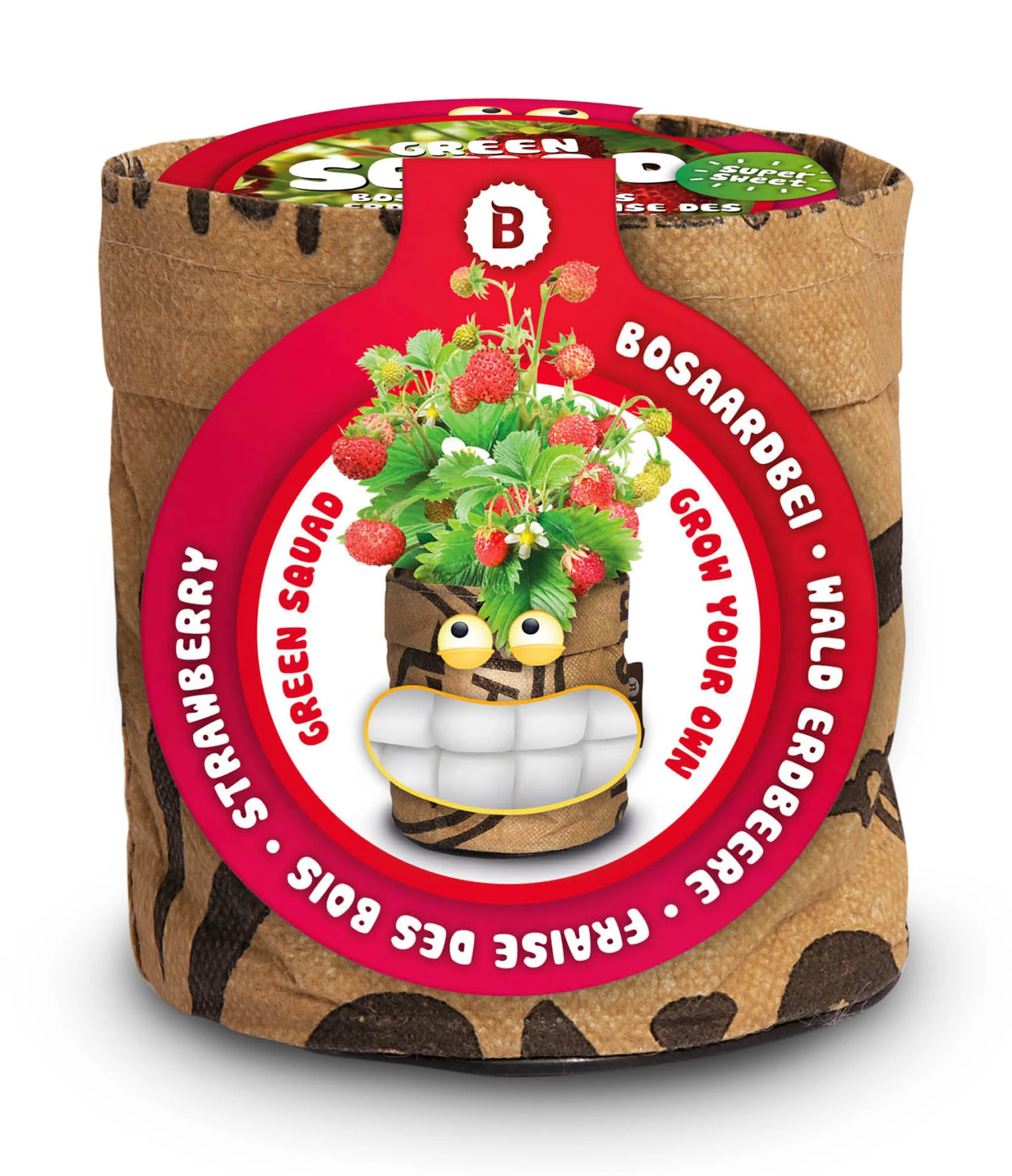 Greensquad Süße Erdbeere | Anzuchtsets Von Baza 4 Greensquad Süße Erdbeere | Anzuchtsets Von Baza – Bild 2