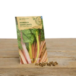 Gewächshaus Set Albert Pflanzfein | BIO Gemüsesamen-Sets Von Samen Maier -Pegasus Verkaufsgeschäft 550509 BIO Gewaechshaus Set Albert Pflanzfein A08 sm 1