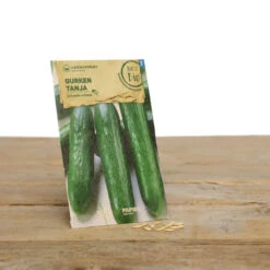 Gewächshaus Set Albert Pflanzfein | BIO Gemüsesamen-Sets Von Samen Maier -Pegasus Verkaufsgeschäft 550509 BIO Gewaechshaus Set Albert Pflanzfein A08 sm 4