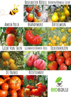 Tomatensamen 10 Alte Sorten Set | BIO Gemüsesamen-Sets Von Biobalu -Pegasus Verkaufsgeschäft 550612 BIO Tomatensamen 10 Alte Sorten Set BB1006 3