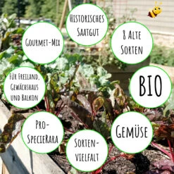 Gourmetgarten 8 Alte Sorten Set | BIO Gemüsesamen-Sets Von Biobalu -Pegasus Verkaufsgeschäft 550615 BIO Gourmetgarten 8 Alte Sorten Set BB1009 4