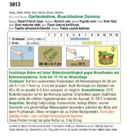 Buschbohnen Domino | BIO Buschbohnensamen Von Austrosaat