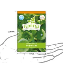Winterportulak Postelein (100 Tütchen) | Portulaksamen Von FLORTUS -Pegasus Verkaufsgeschäft 551880 Winterportulak Postelein 100 Tuetchen 2000 0562 3