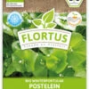 Winterportulak Postelein (100 Tütchen) | BIO Portulaksamen Von FLORTUS -Pegasus Verkaufsgeschäft 551882 BIO Winterportulak Postelein 100 Tuetchen 2000 0563 0