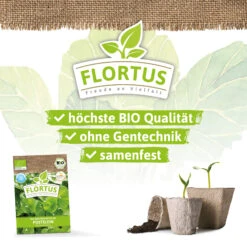 Winterportulak Postelein (100 Tütchen) | BIO Portulaksamen Von FLORTUS -Pegasus Verkaufsgeschäft 551882 BIO Winterportulak Postelein 100 Tuetchen 2000 0563 2