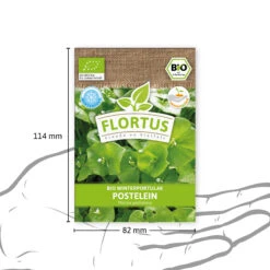 Winterportulak Postelein (100 Tütchen) | BIO Portulaksamen Von FLORTUS -Pegasus Verkaufsgeschäft 551882 BIO Winterportulak Postelein 100 Tuetchen 2000 0563 3