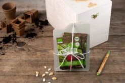 Gemüse Saatgut Archiv Holzbox (10 Tütchen + Register) | BIO Gemüsesamen-Sets Von FLORTUS 13 Gemüse Saatgut Archiv Holzbox (10 Tütchen + Register) | BIO Gemüsesamen-Sets Von FLORTUS -Pegasus Verkaufsgeschäft 551883 BIO Saatgut Archiv Holzbox 10 Tuetchen Register 2000 0564 3