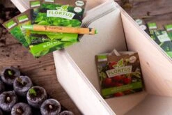 Gemüse Saatgut Archiv Holzbox (10 Tütchen + Register) | BIO Gemüsesamen-Sets Von FLORTUS 14 Gemüse Saatgut Archiv Holzbox (10 Tütchen + Register) | BIO Gemüsesamen-Sets Von FLORTUS -Pegasus Verkaufsgeschäft 551883 BIO Saatgut Archiv Holzbox 10 Tuetchen Register 2000 0564 6