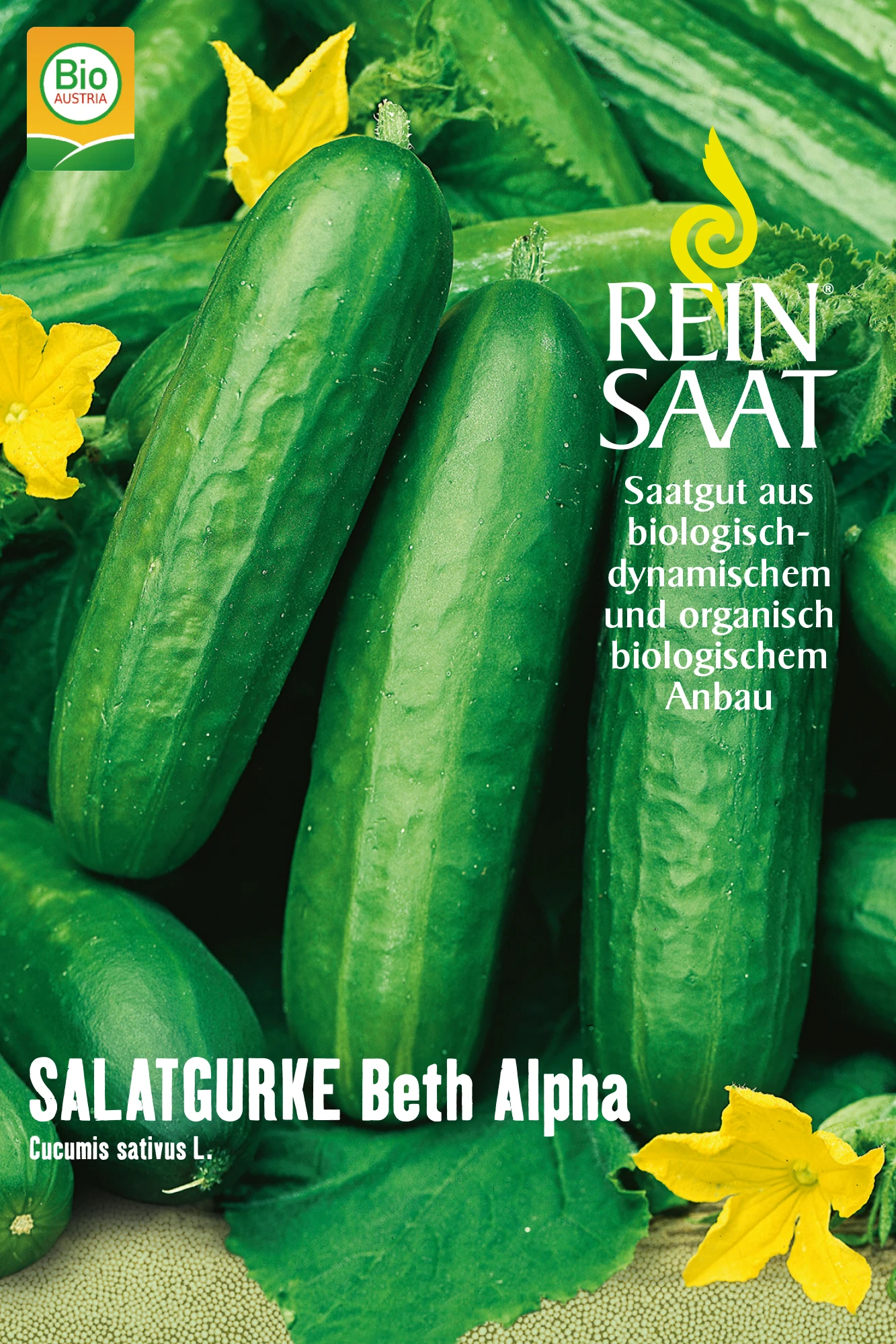 Salatgurke Beth Alpha | BIO Salatgurkensamen Von Reinsaat 3 Salatgurke Beth Alpha | BIO Salatgurkensamen Von Reinsaat