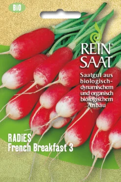 Radies French Breakfast 3 | BIO Radieschensamen Von Reinsaat