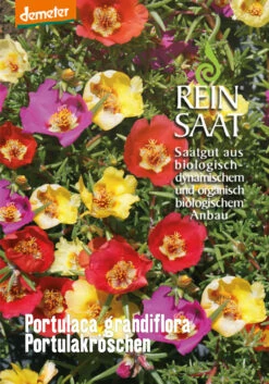 Portulakröschen | BIO Portulaksamen Von Reinsaat