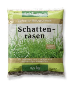 Schattenrasenmischung (500 G) | Schattenrasen Von N. L. Chrestensen