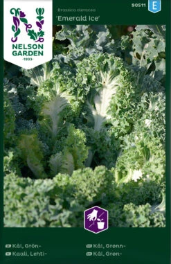 Grünkohl Emerald Ice | Grünkohlsamen Von Nelson Garden