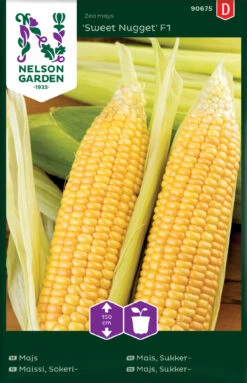 Mais Sweet Nugget F1 | Maissamen Von Nelson Garden -Pegasus Verkaufsgeschäft 552197 Mais Sweet Nugget F1 90675 ng 0