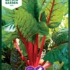 Mangold Rhubarb Chard | Mangoldsamen Von Nelson Garden -Pegasus Verkaufsgeschäft 552198 Mangold Rhubarb Chard 90689 ng 0