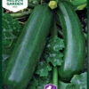 Zucchini Diamant F1 | Zucchinisamen Von Nelson Garden -Pegasus Verkaufsgeschäft 552217 Zucchini Diamant F1 91445 ng 0