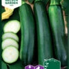 Zucchini Black Forest F1 | Zucchinisamen Von Nelson Garden -Pegasus Verkaufsgeschäft 552218 Zucchini Black Forest F1 91469 ng 0