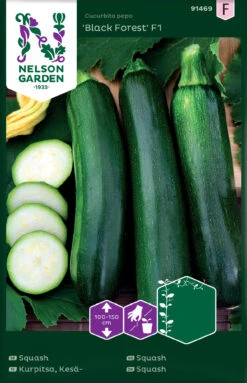 Zucchini Black Forest F1 | Zucchinisamen Von Nelson Garden