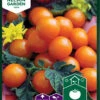 Kirschtomate Sungold F1 | Kirschtomatensamen Von Nelson Garden -Pegasus Verkaufsgeschäft 552227 Kirschtomate Sungold F1 91706 ng 0