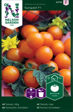 Kirschtomate Sungold F1 | Kirschtomatensamen Von Nelson Garden