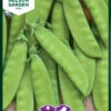 Zuckererbsen Oregon Sugar Pod | Zuckererbsensamen Von Nelson Garden -Pegasus Verkaufsgeschäft 552230 Zuckererbsen Oregon Sugar Pod 91844 ng 0
