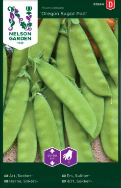 Zuckererbsen Oregon Sugar Pod | Zuckererbsensamen Von Nelson Garden