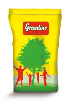 Schattenrasen (10 Kg) | Schattenrasen Von Greenline